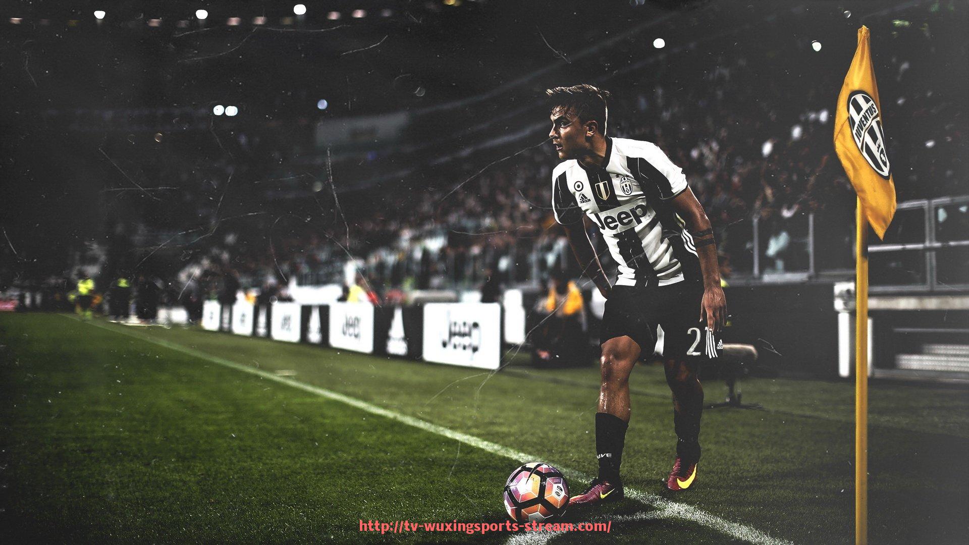 五星体育直播-推举健身器材正确使用方式及常见错误姿势纠正